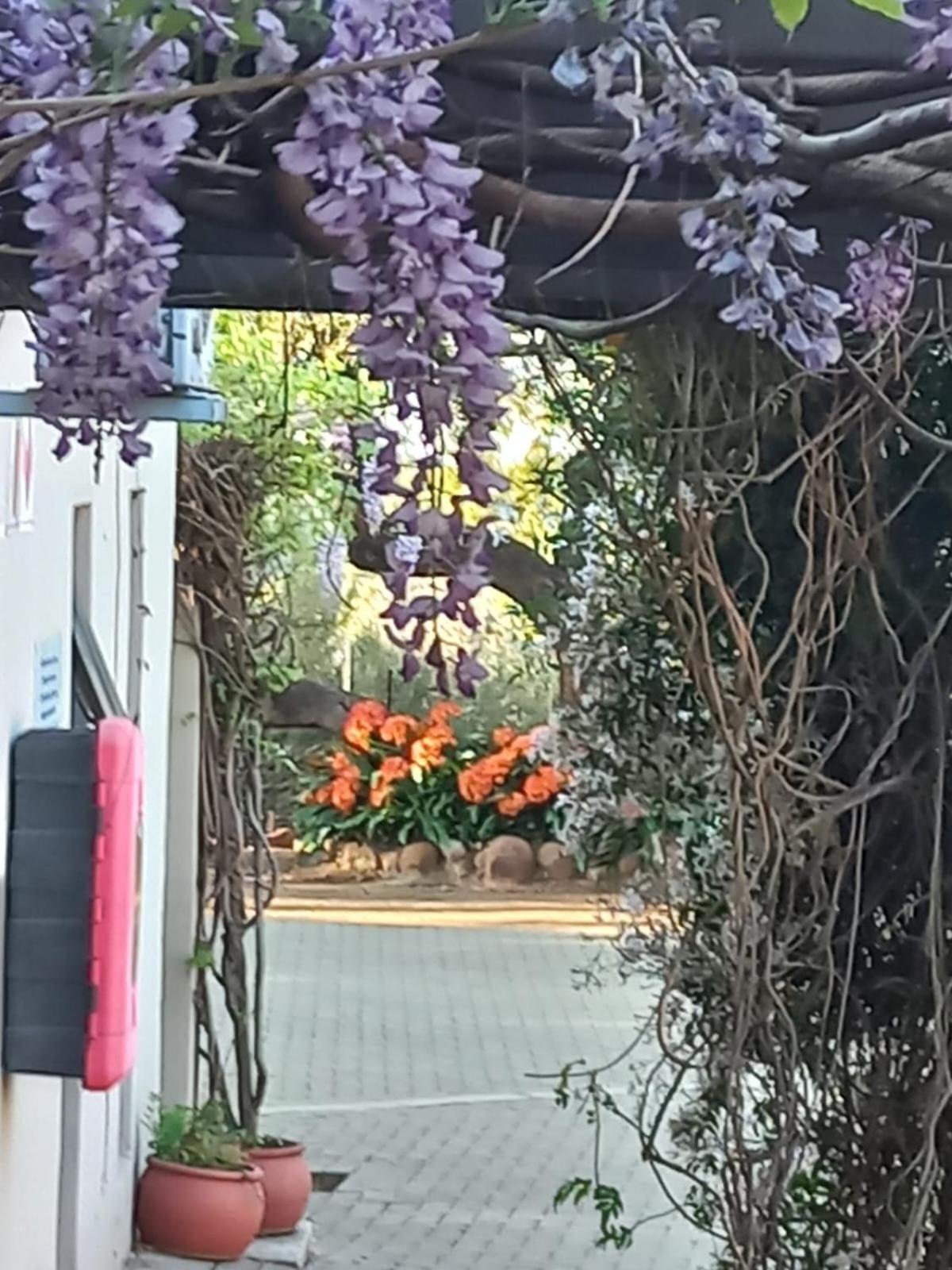 A Little Guesthouse Bloemfontein Esterno foto